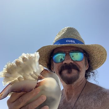 Carlow Ave Beach - Found a dead Cannonball Jellyfish . Stomolophus meleagris - Beaches Near Me - Kill Devil Hills, North Carolina Carlow Ave Beach - Found a dead Cannonball Jellyfish . Stomolophus meleagris - Beaches Near Me - Kill Devil Hills, North Carolina