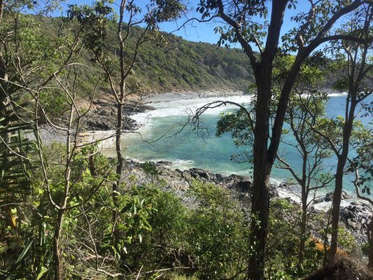Noosa National Park by null