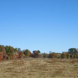 Rocky River Vineyards - Fall at the vineyard.