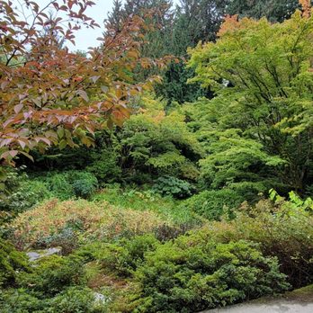 Bellevue Botanical Garden - Botanical Gardens Near Me - Bellevue, Washington