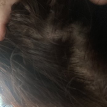 Mira Styles - Hair Stylists Near Me - aurora, Colorado