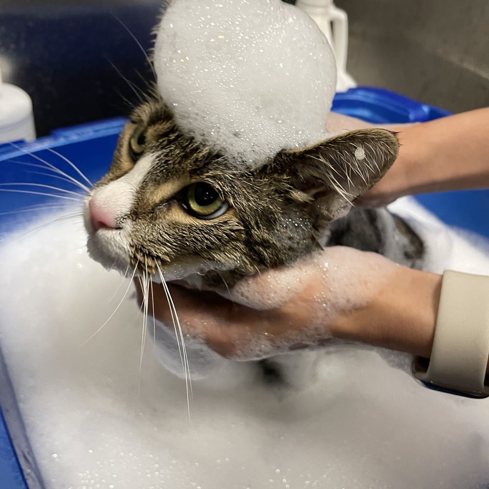Kevin's Bath Time