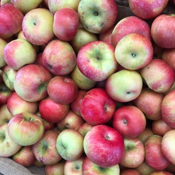 Carter Mountain Orchard - She's my Apple pie - Pick Your Own Farms Near Me - Charlottesville, Virginia