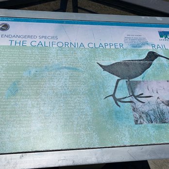 Seal Point Park - Parks Near Me - San Mateo, California Seal Point Park - Parks Near Me - San Mateo, California
