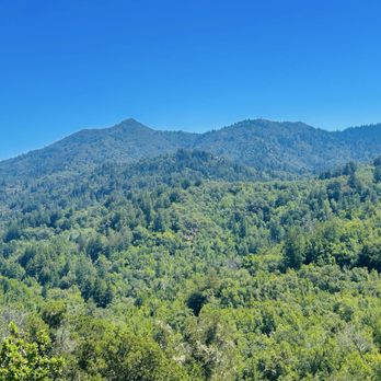 Phoenix Lake - Lovely Mt. Tam - Hiking Near Me - Ross, California Phoenix Lake - Lovely Mt. Tam - Hiking Near Me - Ross, California