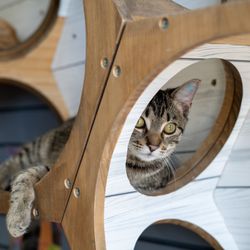 The Catio Cat Lounge