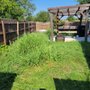 Photo of Fach Lawn Care