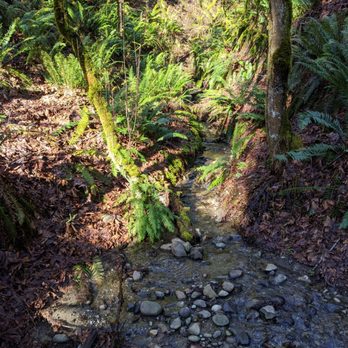 Honey Dew Trailhead - Hiking Near Me - Renton, Washington Honey Dew Trailhead - Hiking Near Me - Renton, Washington