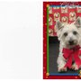Photo of Dana's Stylin Pets