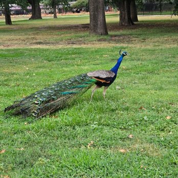 Del Lago Park - Hello there - Parks Near Me - Tulare, California Del Lago Park - Hello there - Parks Near Me - Tulare, California