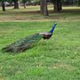 Photo of Del Lago Park
