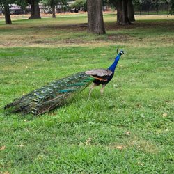Del Lago Park - Hello there