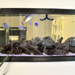 Miles Of Smiles Orthodontics