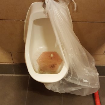Drain Squad A Plumbing & Drain - Fast Food Restaurant - National Account - Pull, Cable and Reset Urinal - Plumbing Near Me - Litchfield Park, Arizona