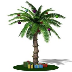 Island Time fashions and Gifts