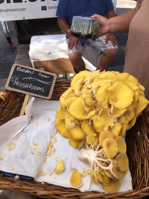 SFC Farmers' Market at Sunset Valley by null