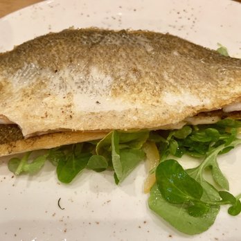 Rustic Root - Bronzino - New American Near Me - Woodbury, New York Rustic Root - Bronzino - New American Near Me - Woodbury, New York