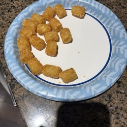 The Brick Tap & Tavern - Less than a whole serving of The Bricks Tap & Tavern tater tots.