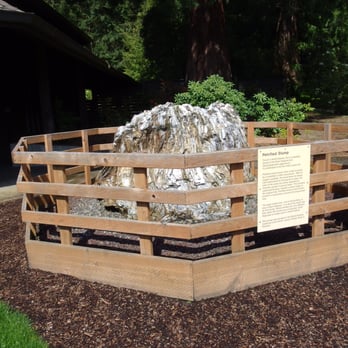 World Forestry Center - Museums Near Me - Portland, Oregon World Forestry Center - Museums Near Me - Portland, Oregon