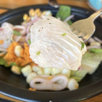 El Mono - Ceviche - Peruvian Near Me - Berkeley, California