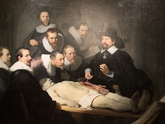 Mauritshuis by null