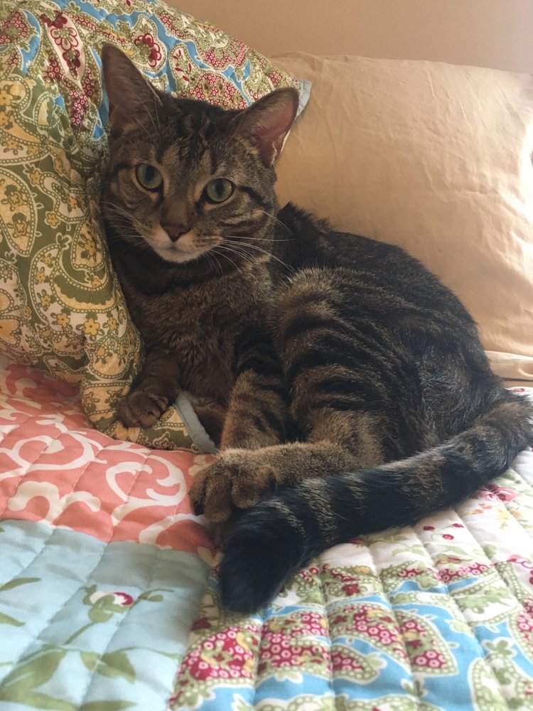 LAKE GENEVA VETERINARY CLINIC Updated August 2024 N1172 State Road