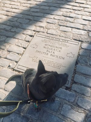 Msgr. McGolrick Park by null