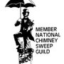 Photo of Chimney Professionals and Masonry Experts