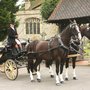 Photo of Drewitts Carriages
