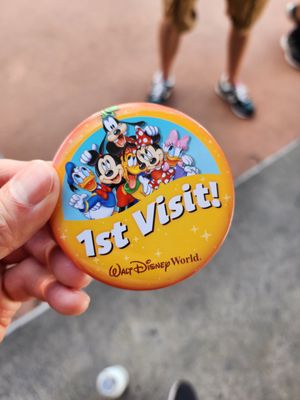 Magic Kingdom Park by null