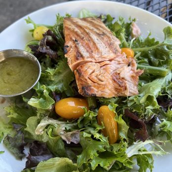 Narcisi Winery - Salmon salad - Wine Tasting Room Near Me - Gibsonia, Pennsylvania Narcisi Winery - Salmon salad - Wine Tasting Room Near Me - Gibsonia, Pennsylvania