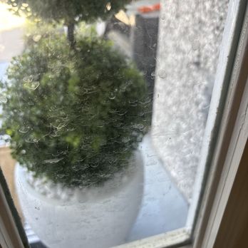 Liz House Cleaning Service - Not sure if you could see how dirty this window is from Dog noses - Office Cleaning Near Me Liz House Cleaning Service - Not sure if you could see how dirty this window is from Dog noses - Office Cleaning Near Me
