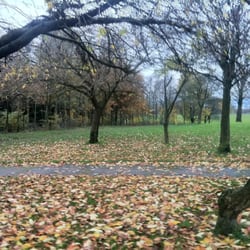 Stoneleigh Park