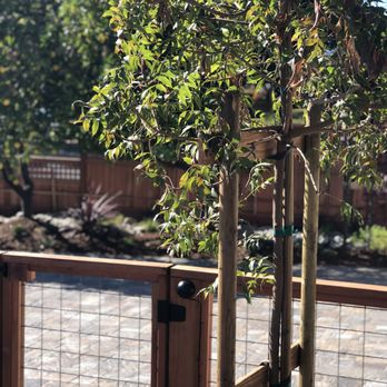 CB Concrete Construction - New side fence - General Contractors Near Me - Los Gatos, California CB Concrete Construction - New side fence - General Contractors Near Me - Los Gatos, California