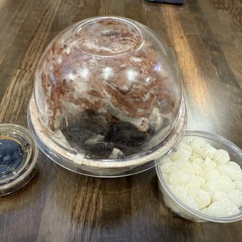 Oakobing - Oreo Tiramisu Shaved Ice, skip - pretty bland snow. - Ice Cream & Frozen Yogurt Near Me - Pasadena, California
