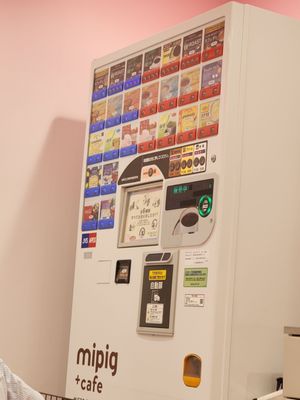 mipig cafe Harajuku by null