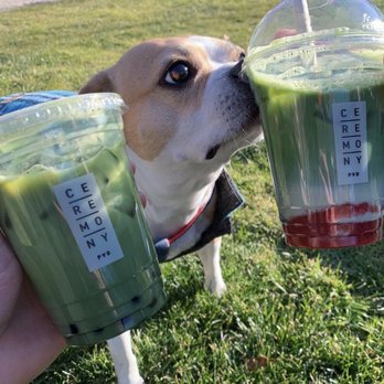 Ceremony - Lavender Matcha with Boba and Strawberry Matcha - Tea Rooms Near Me - Providence, Rhode Island
