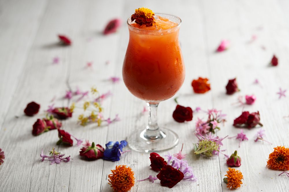 22 Photos 131141 Esplanade, Cairns Queensland, Australia Juice