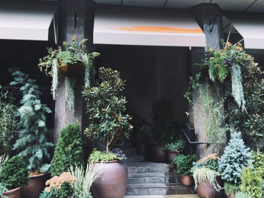 Scarpetta Philadelphia by null