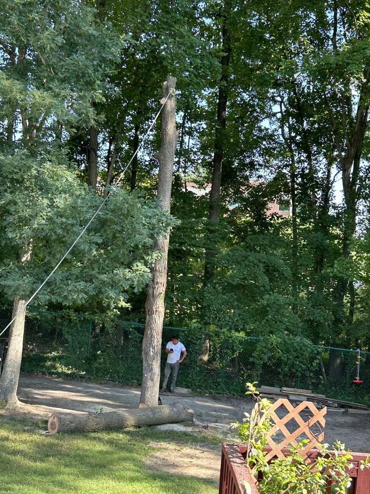 James River Tree Service - tree service in Carrsville, VA