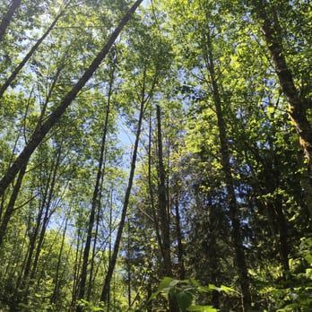 Twin Falls Trailhead - Hiking Near Me - North Bend, Washington Twin Falls Trailhead - Hiking Near Me - North Bend, Washington