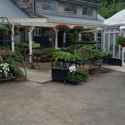Grown In Camas - Large variety of vegetables and flowers all kinds of annuals and perennials