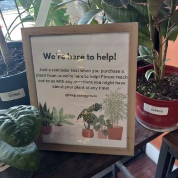 The Growing Groves Plant Shop - Nurseries & Gardening Near Me - Davis, California The Growing Groves Plant Shop - Nurseries & Gardening Near Me - Davis, California