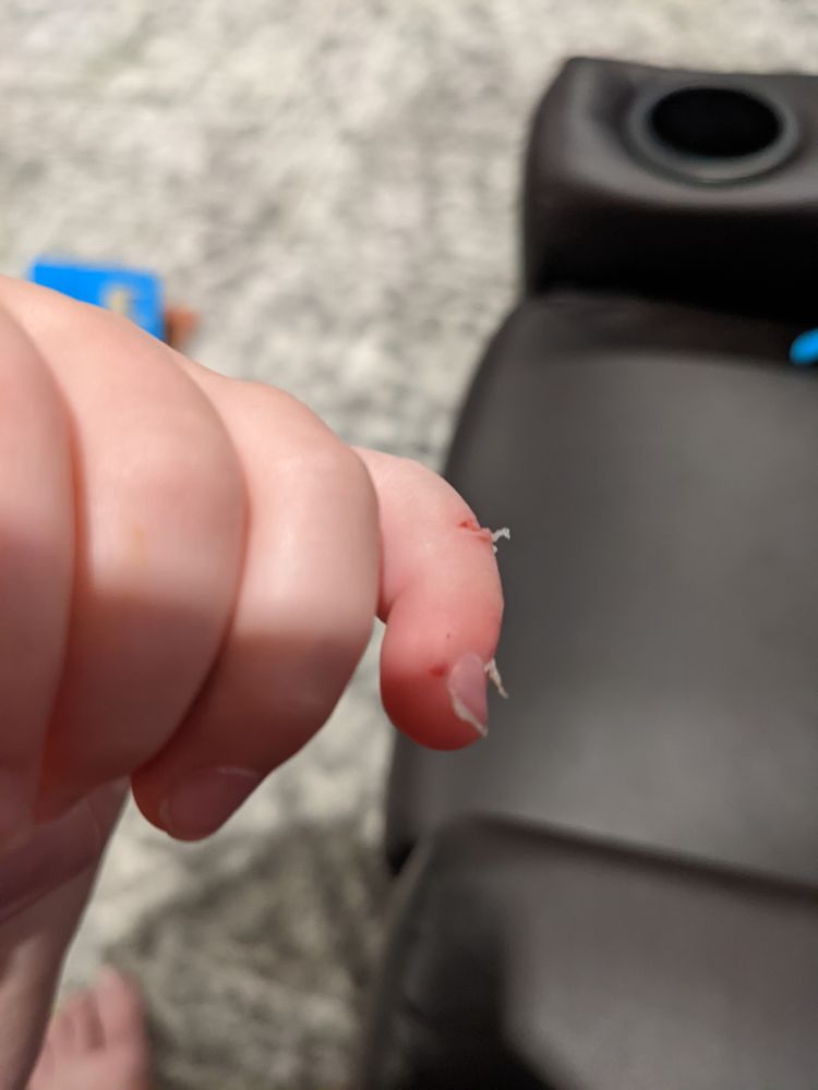 Primrose School at Palm Valley - childcare center in Goodyear, AZ