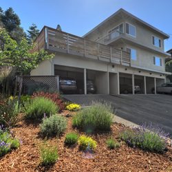 Paseo Properties - 6 Residential Units in Mill Valley