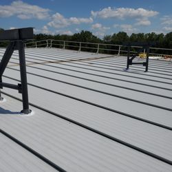 Rize 'N' Roof