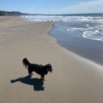 Rio Del Mar State Beach - Beaches Near Me - Aptos, California