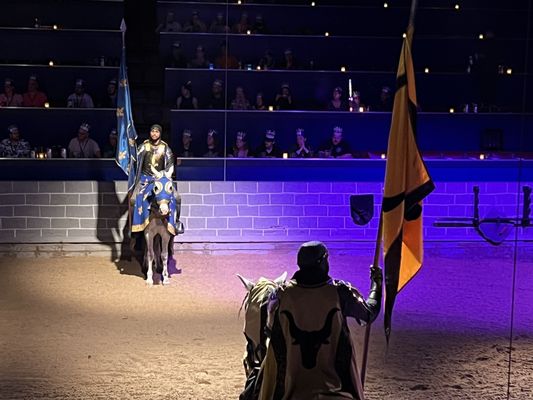 Medieval Times Dinner & Tournament by null