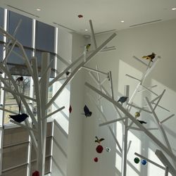 Arkansas Children's Northwest Hospital