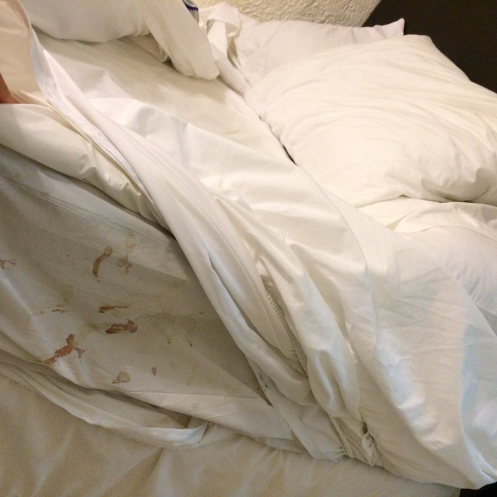 Monterey Inn - Bloody plastic mattress cover. - Hotels Near Me - Wilmington, California Monterey Inn - Bloody plastic mattress cover. - Hotels Near Me - Wilmington, California